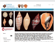 Tablet Screenshot of floridaseashellsandfossils.com